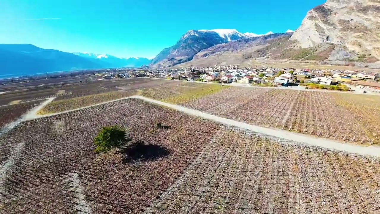 Survol du domaine viticole de Leytron en Suisse _ couleurs d'hiver