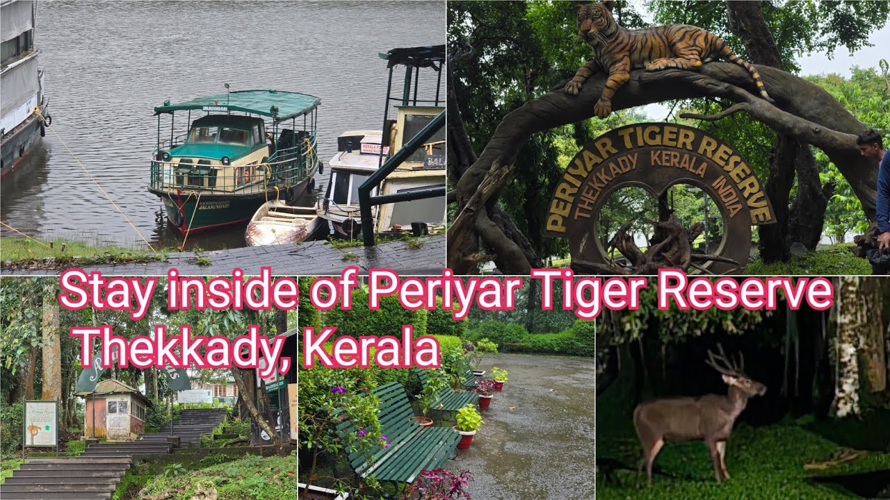 Our stay in Periyar Tiger Reserve with beautiful wildlife sightseeing | Aranya Nivas | Jungle Resort
