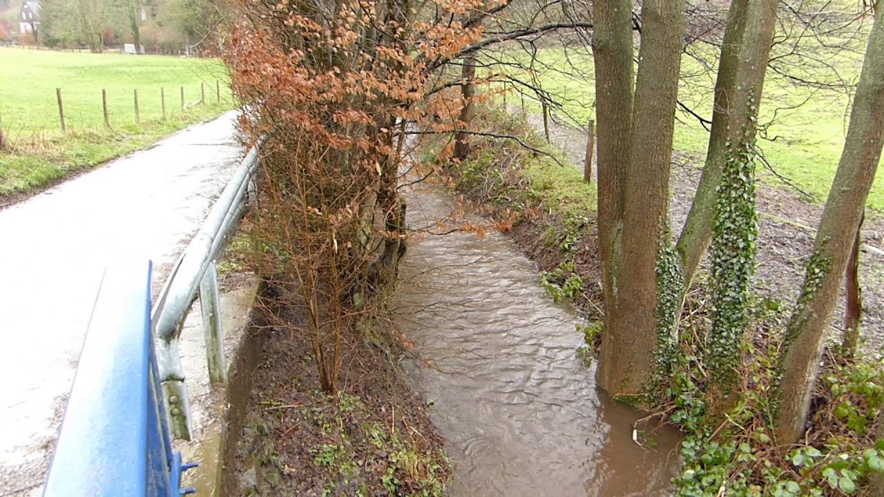 Selbecker Bach (&raquo;Blaue Donau&laquo;) &bull; Ende Februar 2020