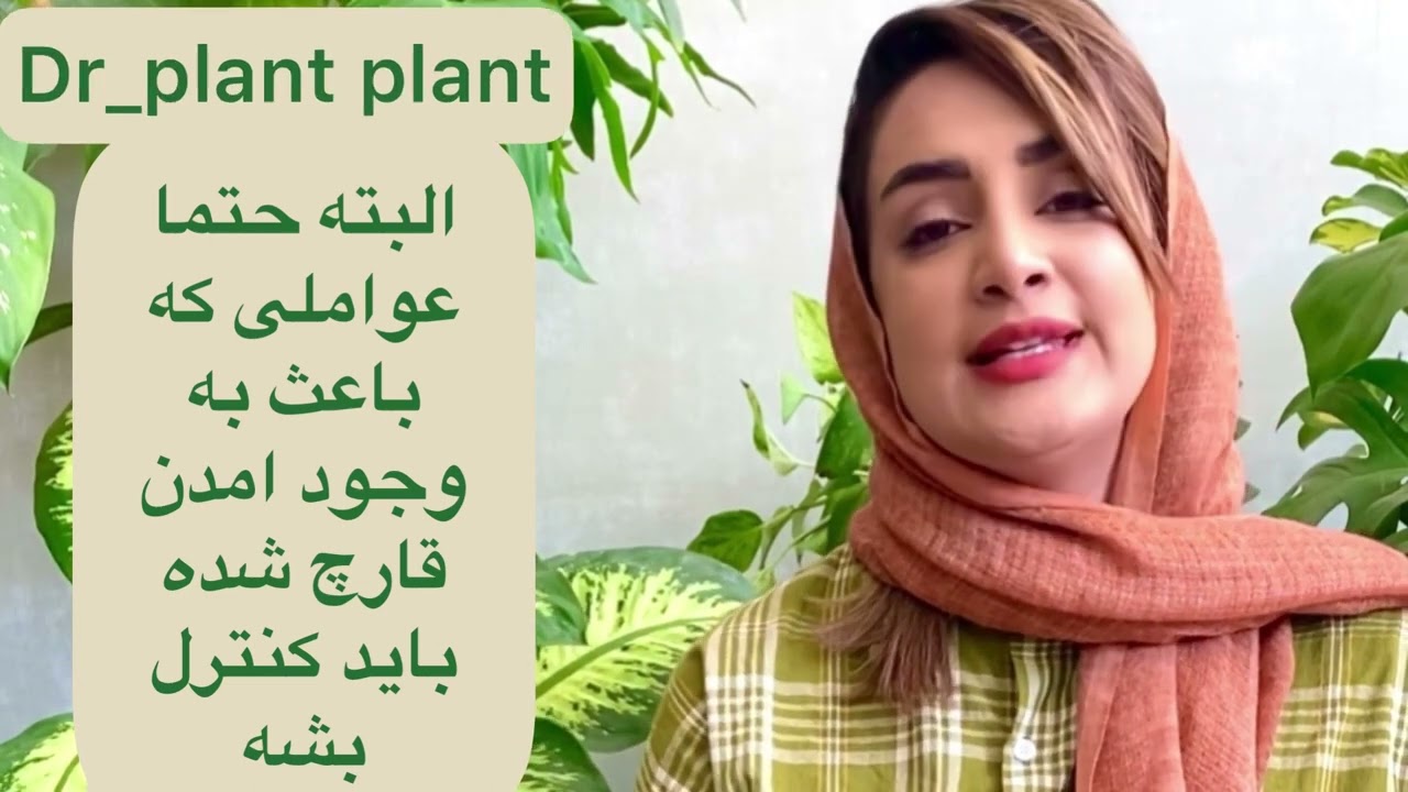 یبار برای همیشه مشکلاتت رو با دیفن باخیا حل کن