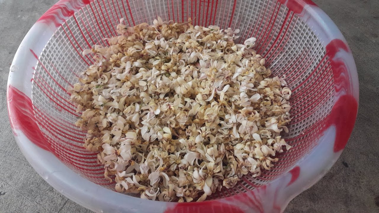 আজ বানালাম নিরামিষ সজনা ফুলের চচ্চড়ি কেমন লাগলো বন্ধুরা জানাবেন #cooking #views 