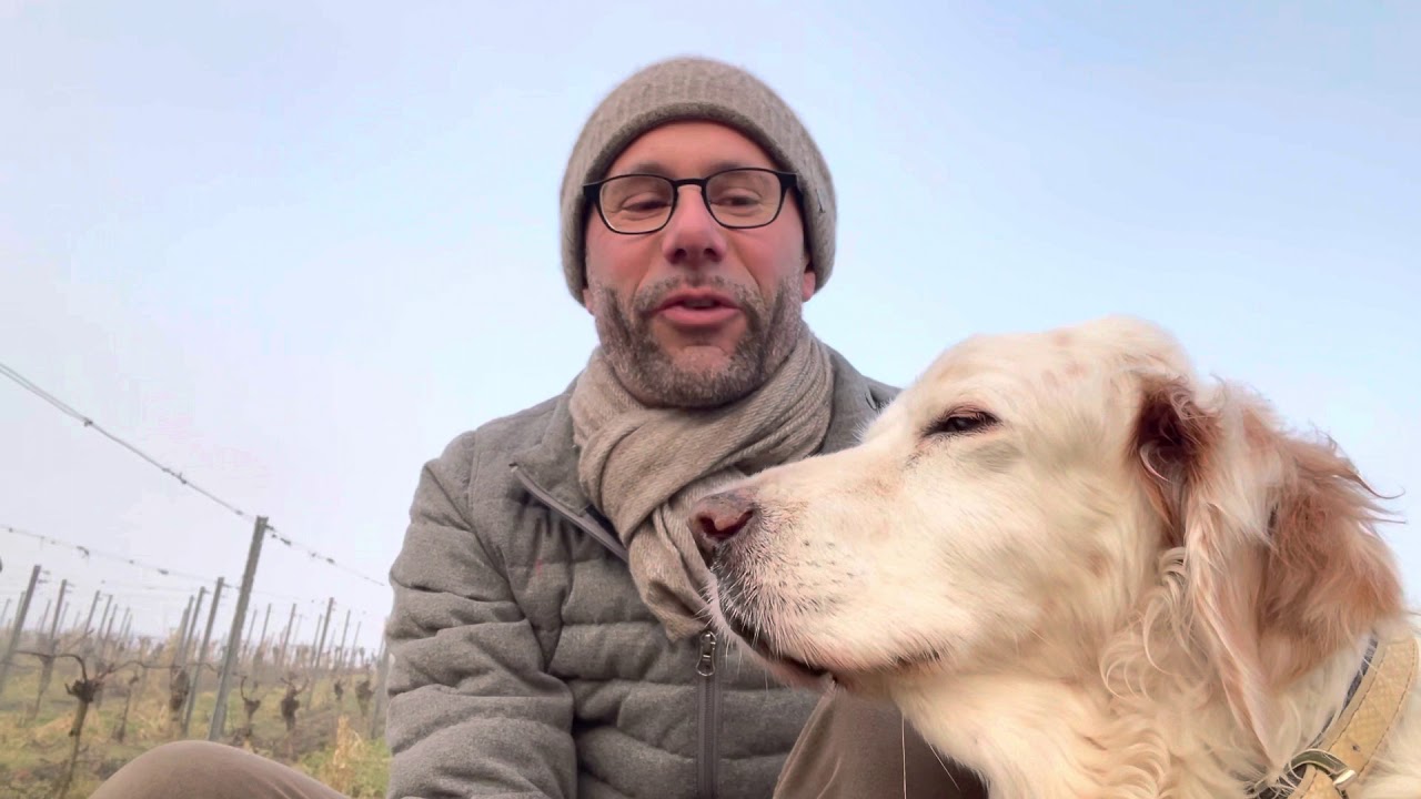 Gebet für die Tiere