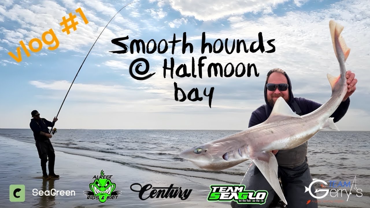 The first Smooth Hound trip of our competition @ Morecambe/Heysham Vlog#1