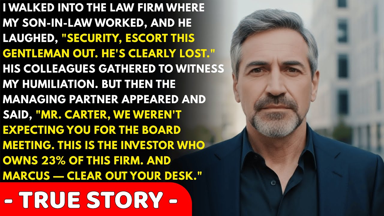 My Son-In-Law Mocked Me at His Law Firm, But When the Managing Partner Saw Me...