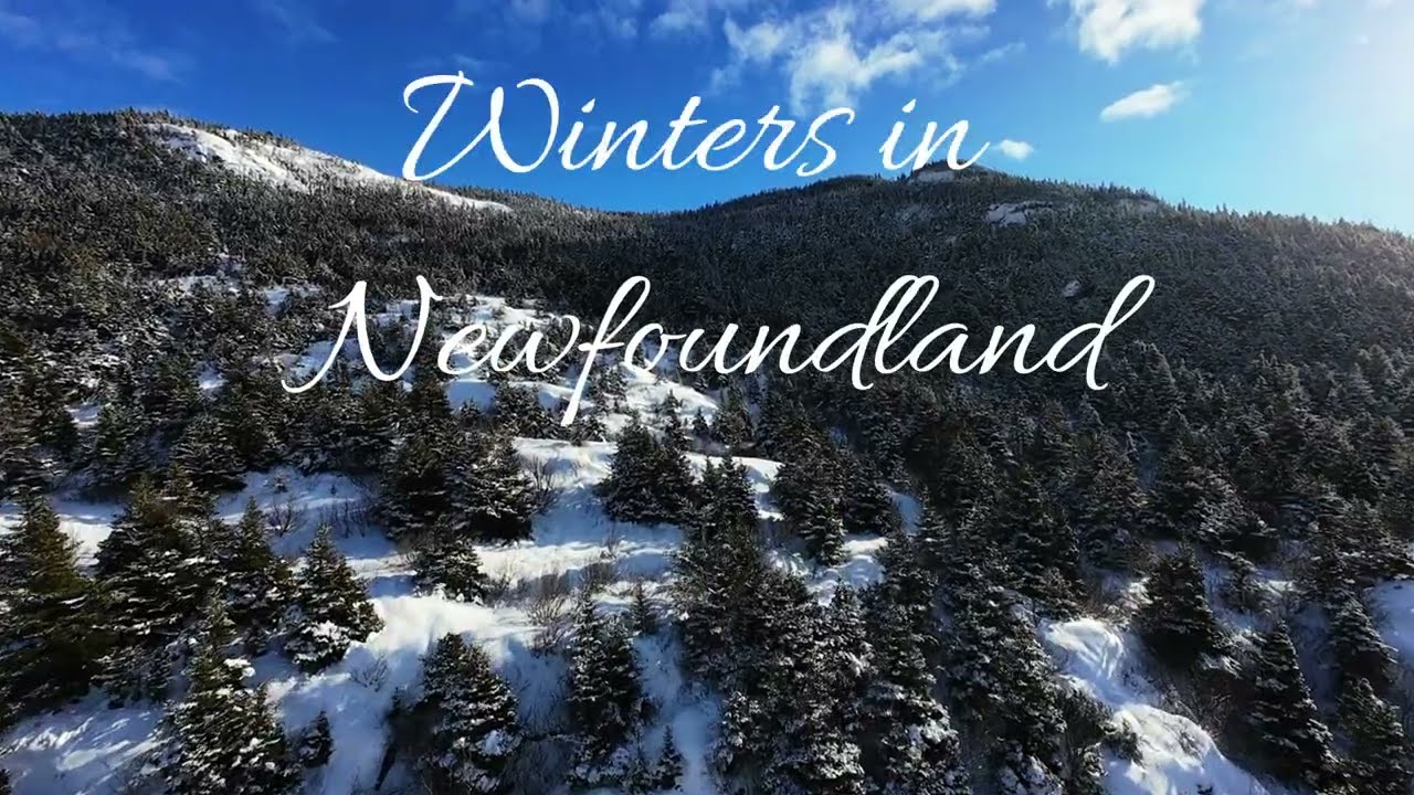 Frozen Newfoundland Coastline FPV | Bell Island Ferry Area