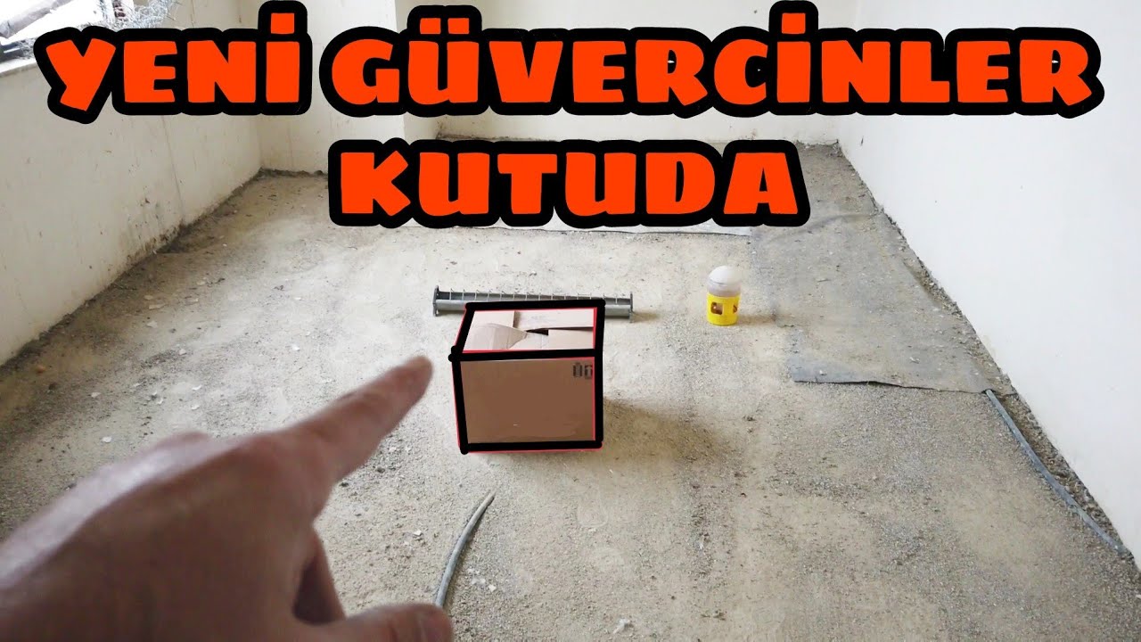 KUTUDA YENİ G&Uuml;VERCİNLER VAR. İ&Ccedil;İNDEN &Ccedil;IKAN KUŞLARI BAKALIM BEĞENECEKMİSİNİZ