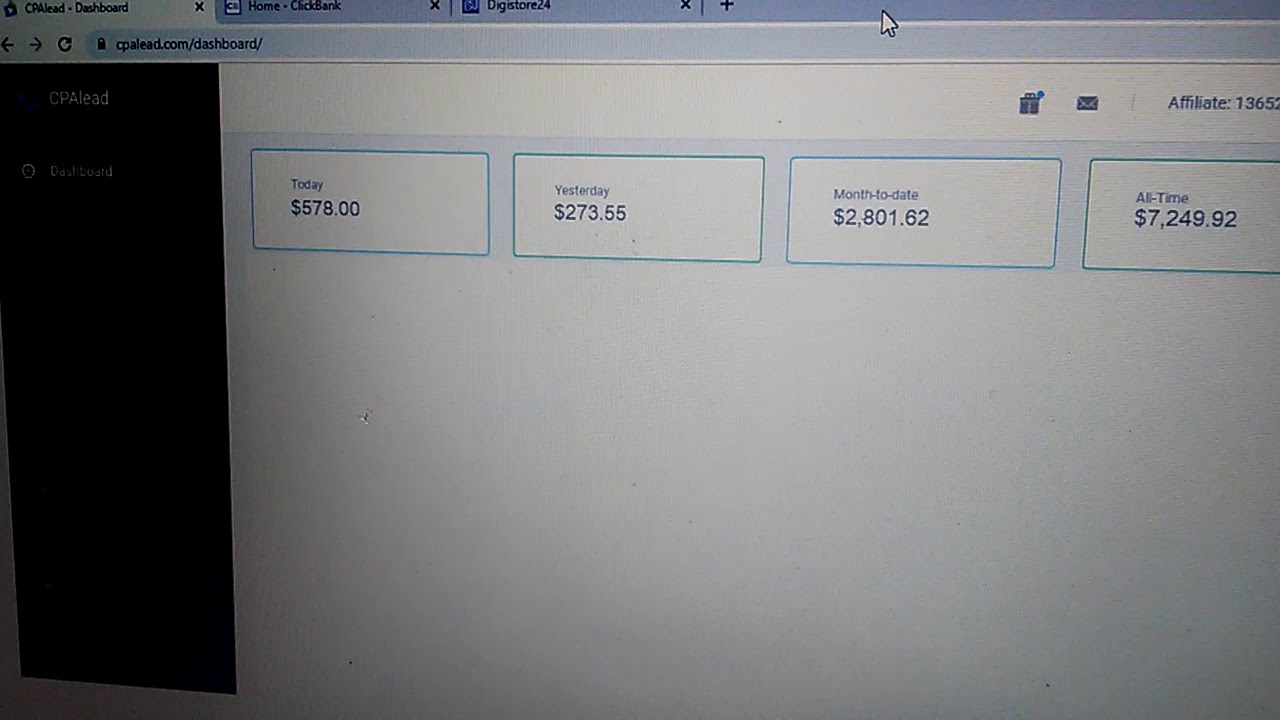 CPALEAD EARNINGS PROOF OF INCOME