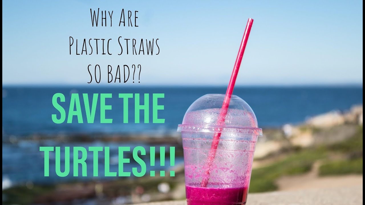 Why Are Plastic Straws SO BAD?
