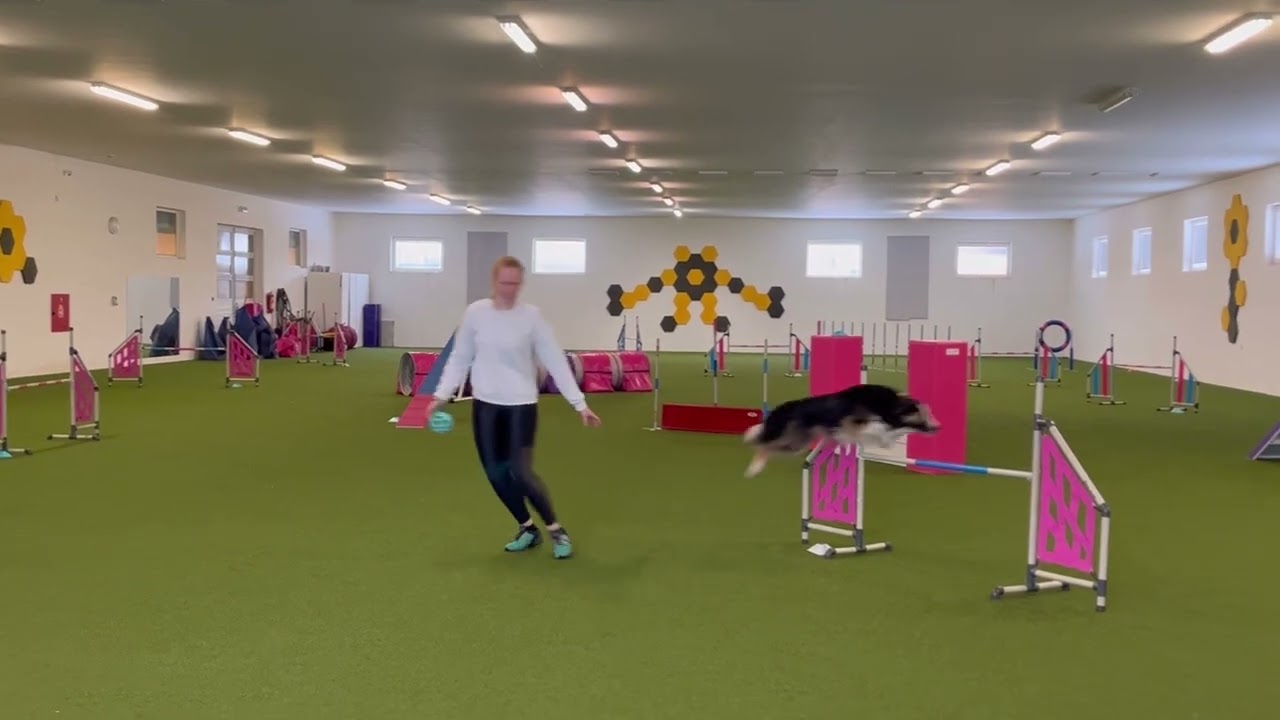 Training with Markéta Adam | Drriwy