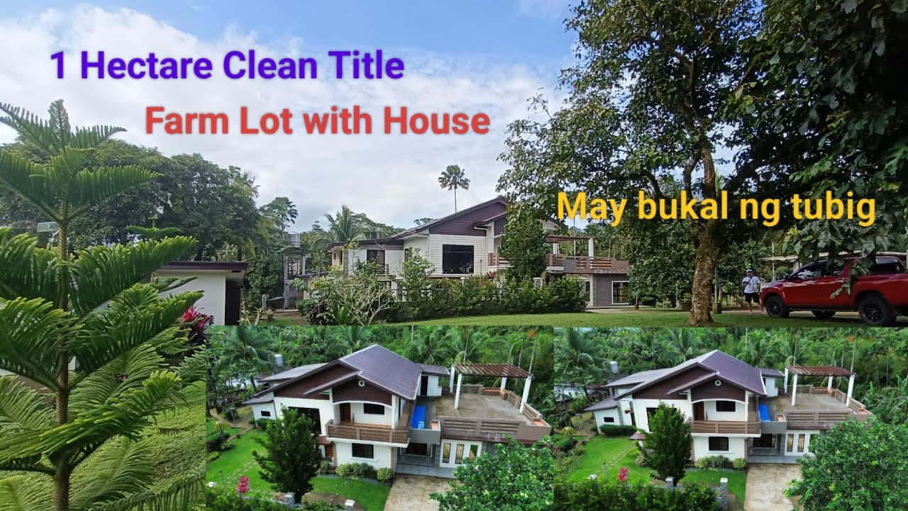 #Vlog390 CLEAN TITLE 1 HECTARE FARM LOT with HOUSE FOR SALE | May Bukal ng Tubig na Malinis sa Loob