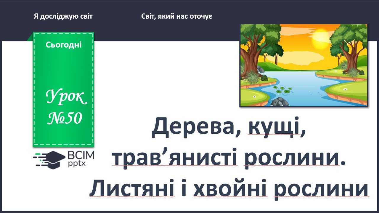 ЯДС 1 клас. Урок 50. Дерева, кущі, трав'янисті рослини. Листяні і хвойні рослини.
