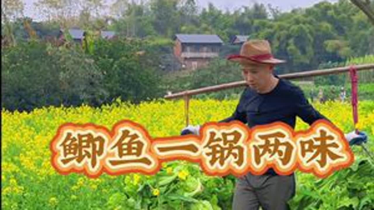 芬姐砍青菜辛苦了，做个一锅两味的鲫鱼，欢欢喜喜的吃到自己喜欢的口味、和谐……#新农人计划2025 #吃下这一口烟火气 #又是一年春耕时 #三哥和芬姐乡村生活 #抖音创作季