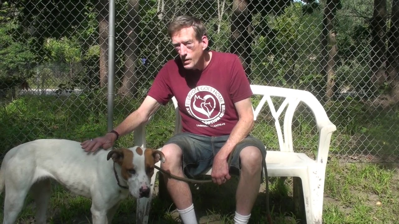 Sadie Dog Video