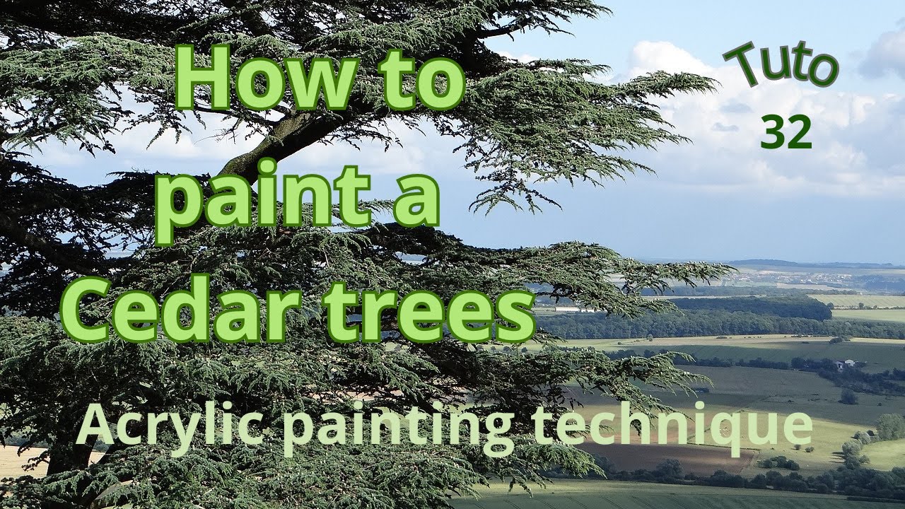 How to paint a cedar tree / Acrylic Demonstration / for beginners