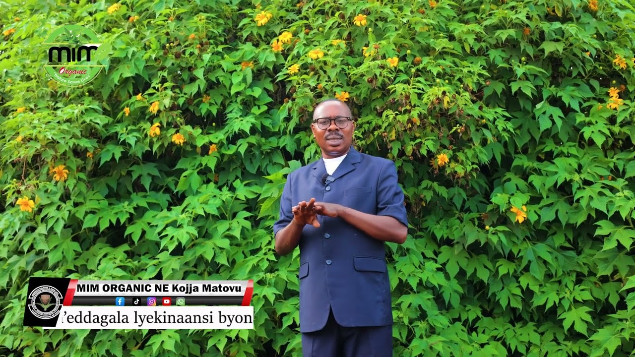 Ekimyula kijaanjaba kabotoongo.