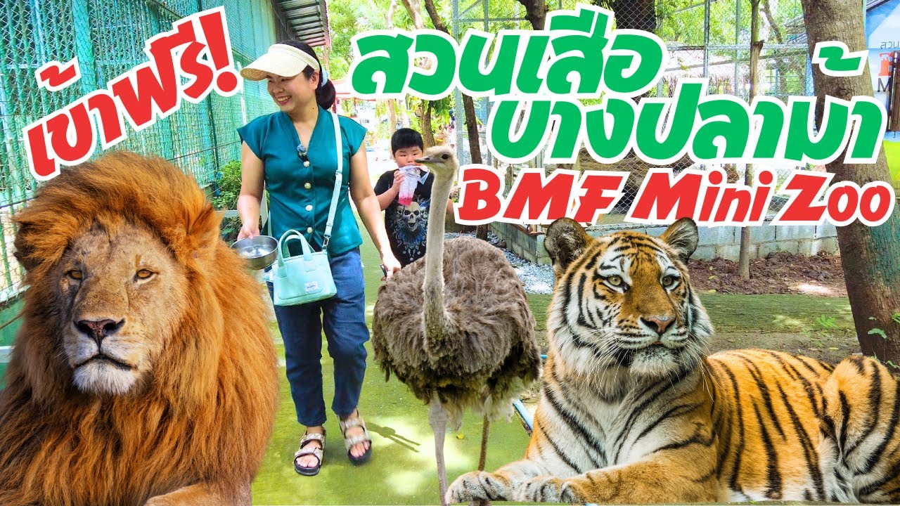 สวนเสือบางปลาม้า BMF Mini Zoo สวนสัตว์เข้าชมฟรี! ใกล้กรุงเทพสุดๆ