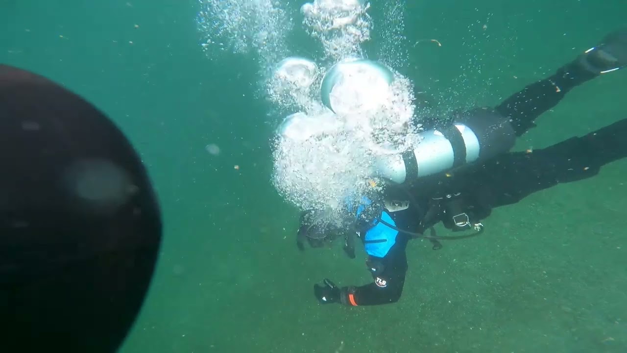 Dive 106