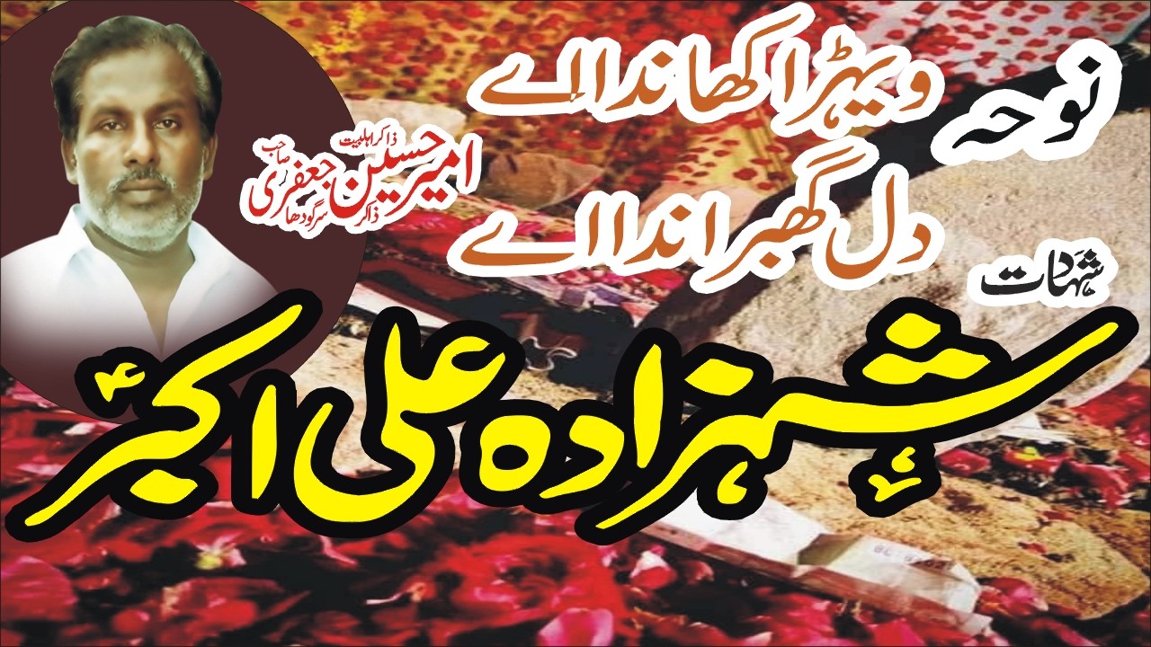 Wehra Khanada Ai Dil Ghabranda Ai Noha | Zakir Malik Ameer Hussain Jafari 1 Feb 2026 Majlis Chiniot
