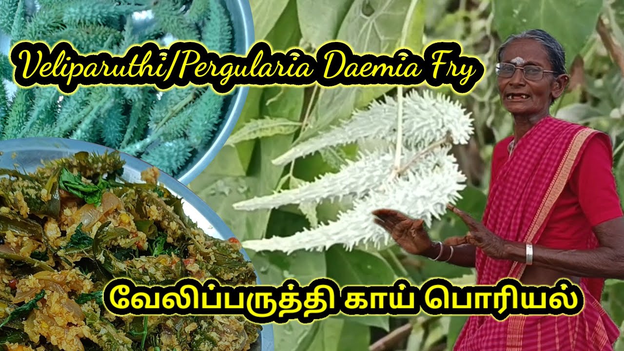 வேலிப்பருத்தி பொரியல் l Veliparuthi fry l Traditional Food