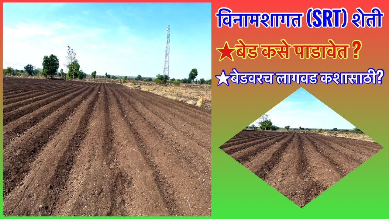 विनामशागत/SRT शेतीचे बेड कसे पाडायचे?।No Tillage।conservation Agriculture