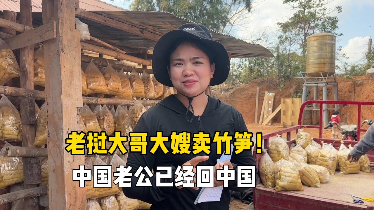 老挝大哥大嫂卖竹笋，看着生意咋样？