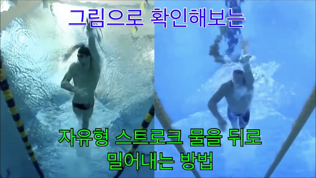 자유형 추진력 그림으로 풀어보자 ( 작용과 반작용 _ 어떻게하면 물을 뒤로 밀어보낼...