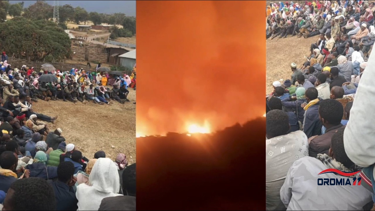 OROMIA11: Oduu 2-25-2026