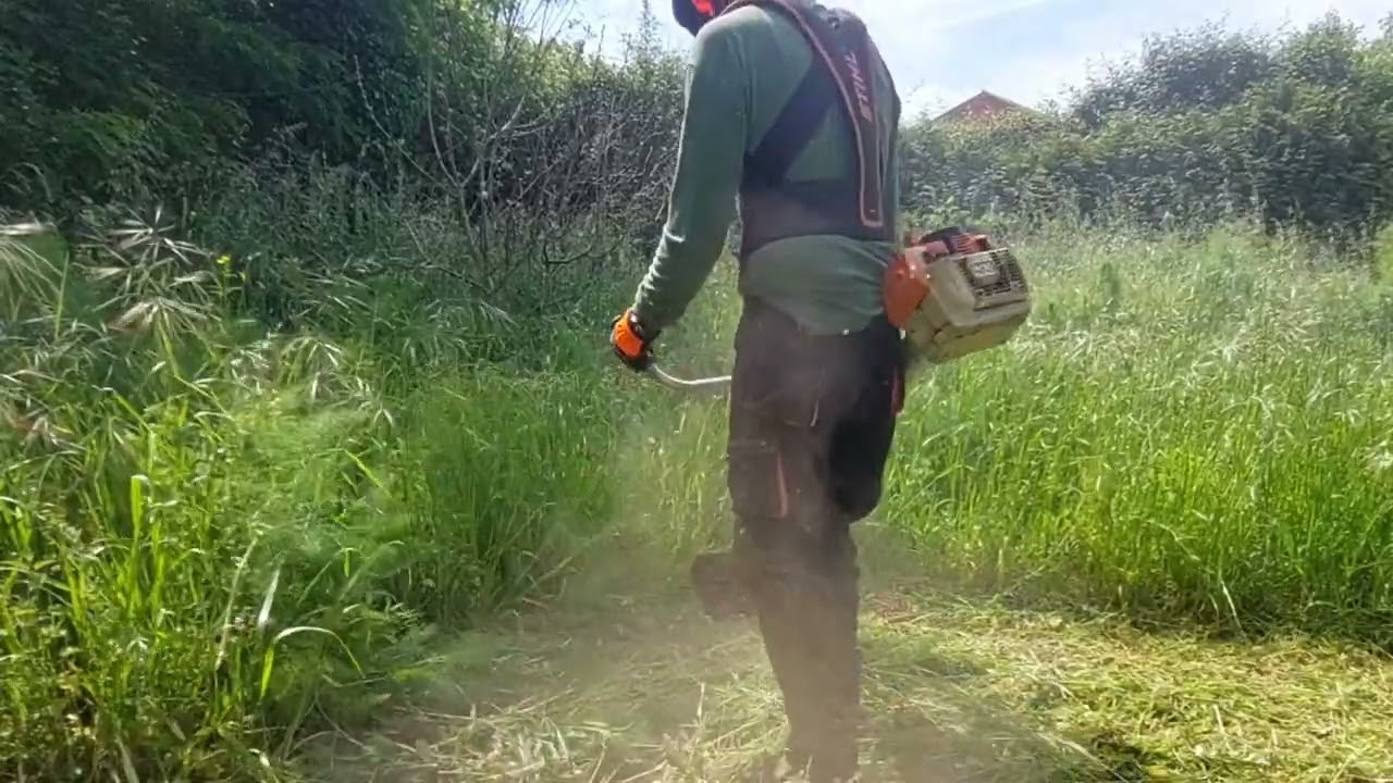 Stihl FS550 - ☻️👹☠️Despertando a la Bestia ☠️👹☻️