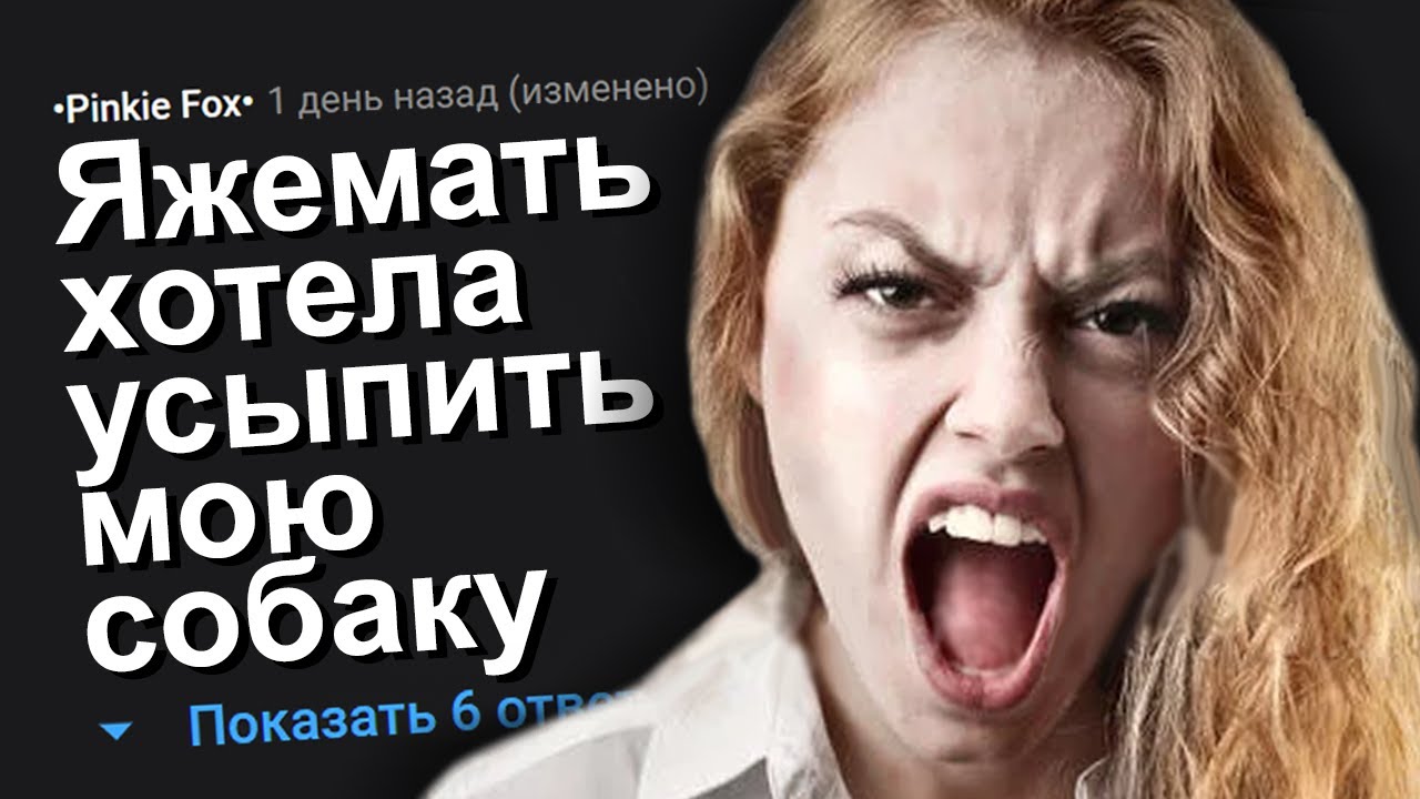 ЯЖЕМАТЬ ХОТЕЛА УСЫПИТЬ МОЮ СОБАКУ. ЯЖЕМАТЬ ИСТОРИИ.