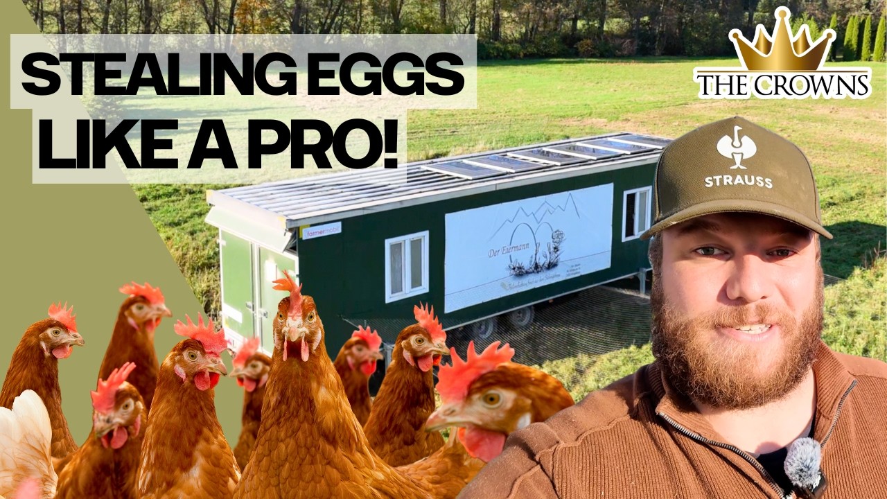 Egg collector for a day! Automatic Mobile Chicken Coop! / The Crowns Vlog