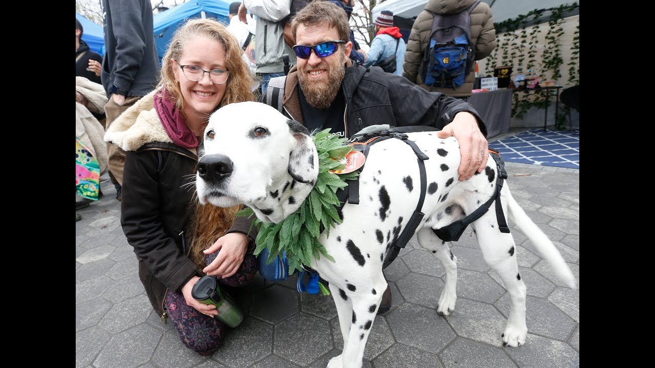 T.O.-KING UP: Global Marijuana March hits the streets of The Six