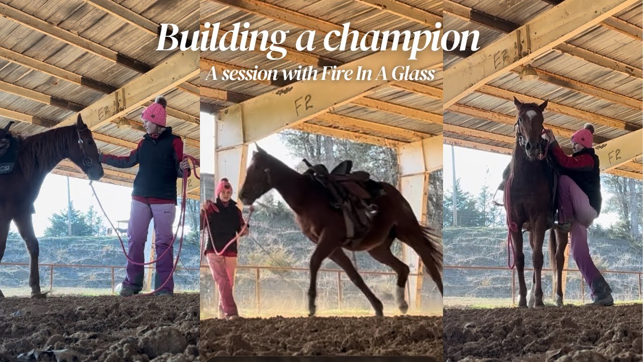 Building a champion: A session with Fire In A Glass “Ava” 2 year old filly