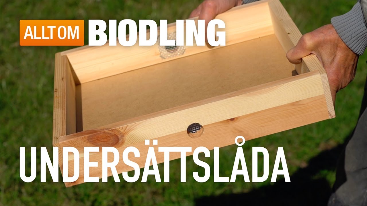 Undersättslåda för biodling