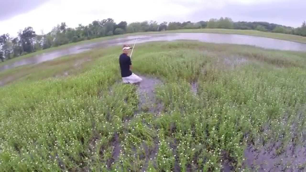 Bass Fishing with a Livetarget Frog