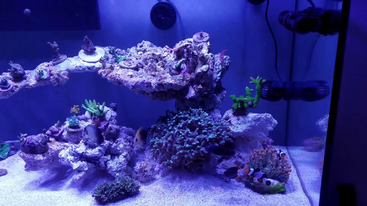 180 gallon MODE aquarium
