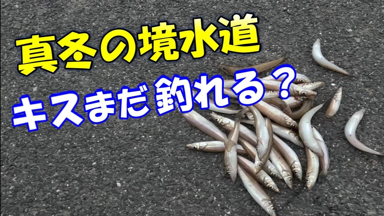 真冬の境水道　超爆風釣行　キスまだ釣れる？