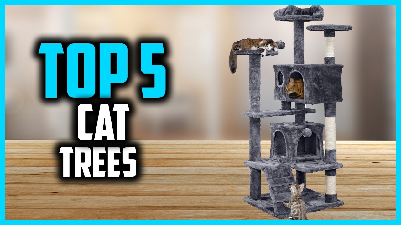 ✅ Top 5 Best Cat Trees of 2025