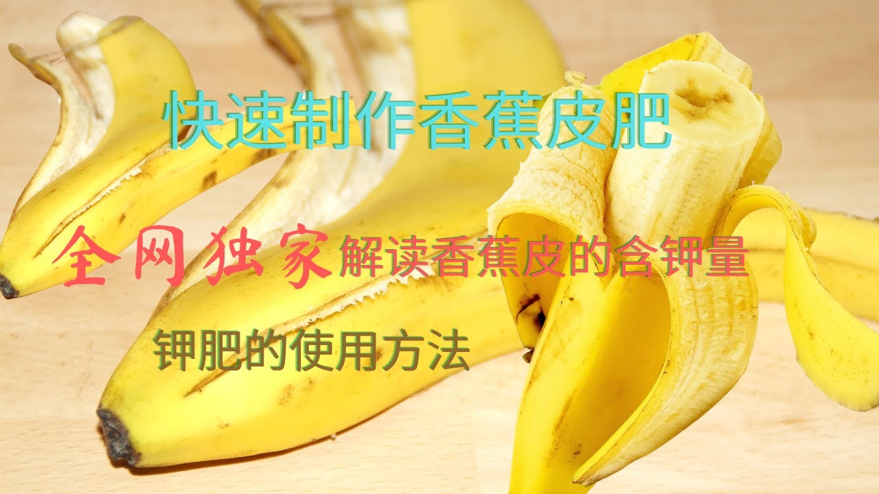 【自制有机肥】快速制作香蕉皮肥  全网独家解读香蕉皮的含钾量  怎么正确使用钾肥