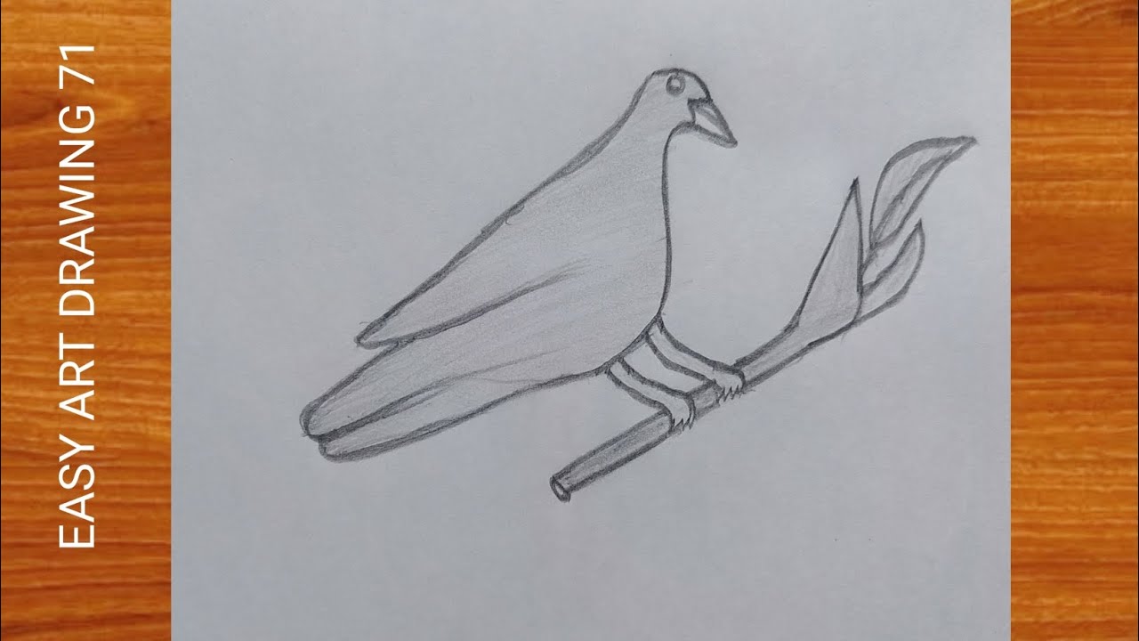 Bird drawing easy video || Bird drawing easy video | Bird drawing video #birds #viralvideo #trending