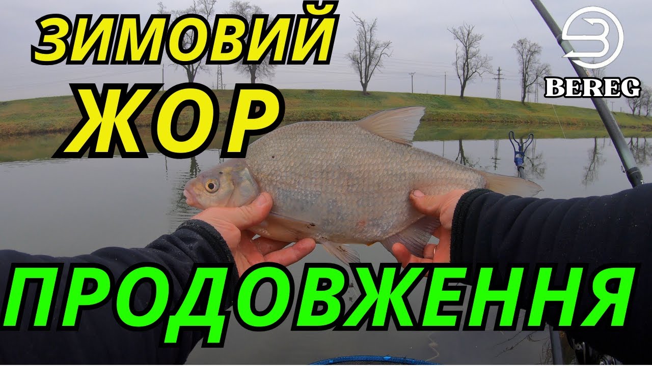 ЦЕ ВИБУХ! Зимовий фідер на течії дав результат, який шокує