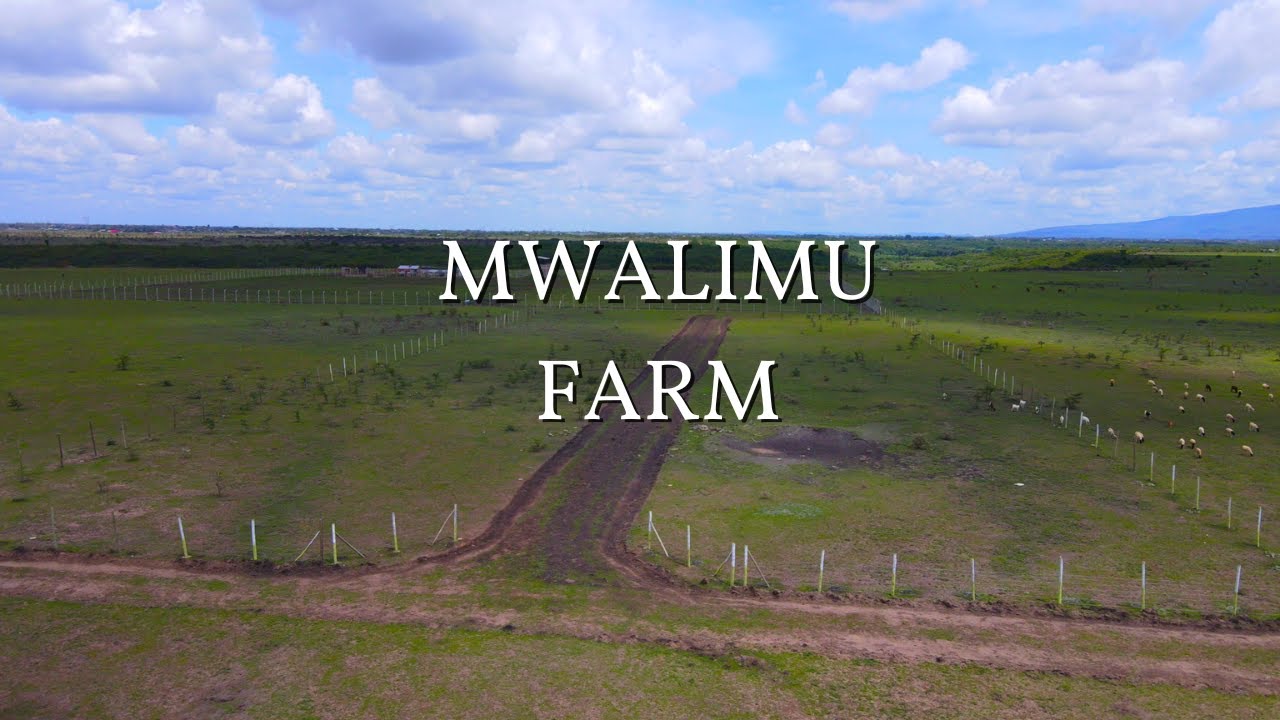 MWALIMU Farm | Real Estate | Acre ShowCase