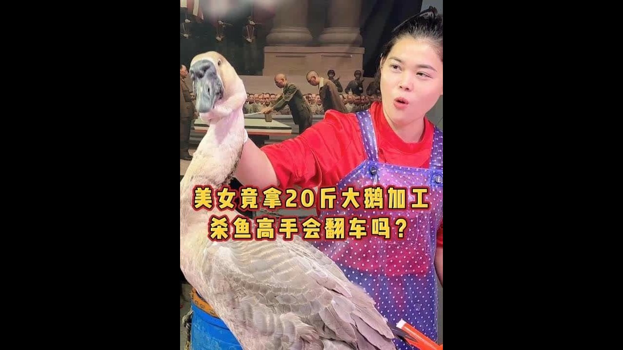 美女竟拿20斤大鹅加工杀鱼高手会翻车吗 #杀鱼技术 #砍切两用刀 #厨房好物 #记录生活
