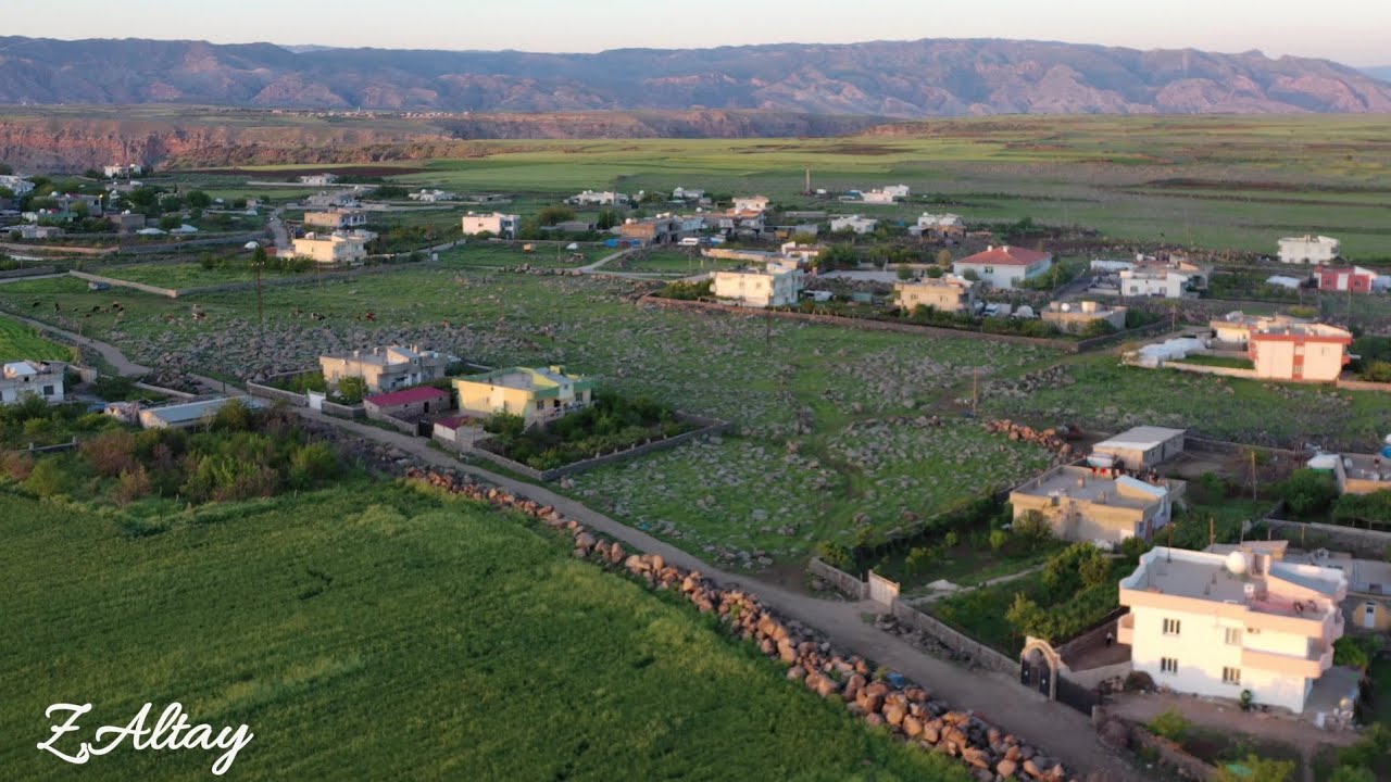Yarbaşi köy (Hêspist) Cehenem deresi Mayis2023 #doğa #doğalyaşam #bahar