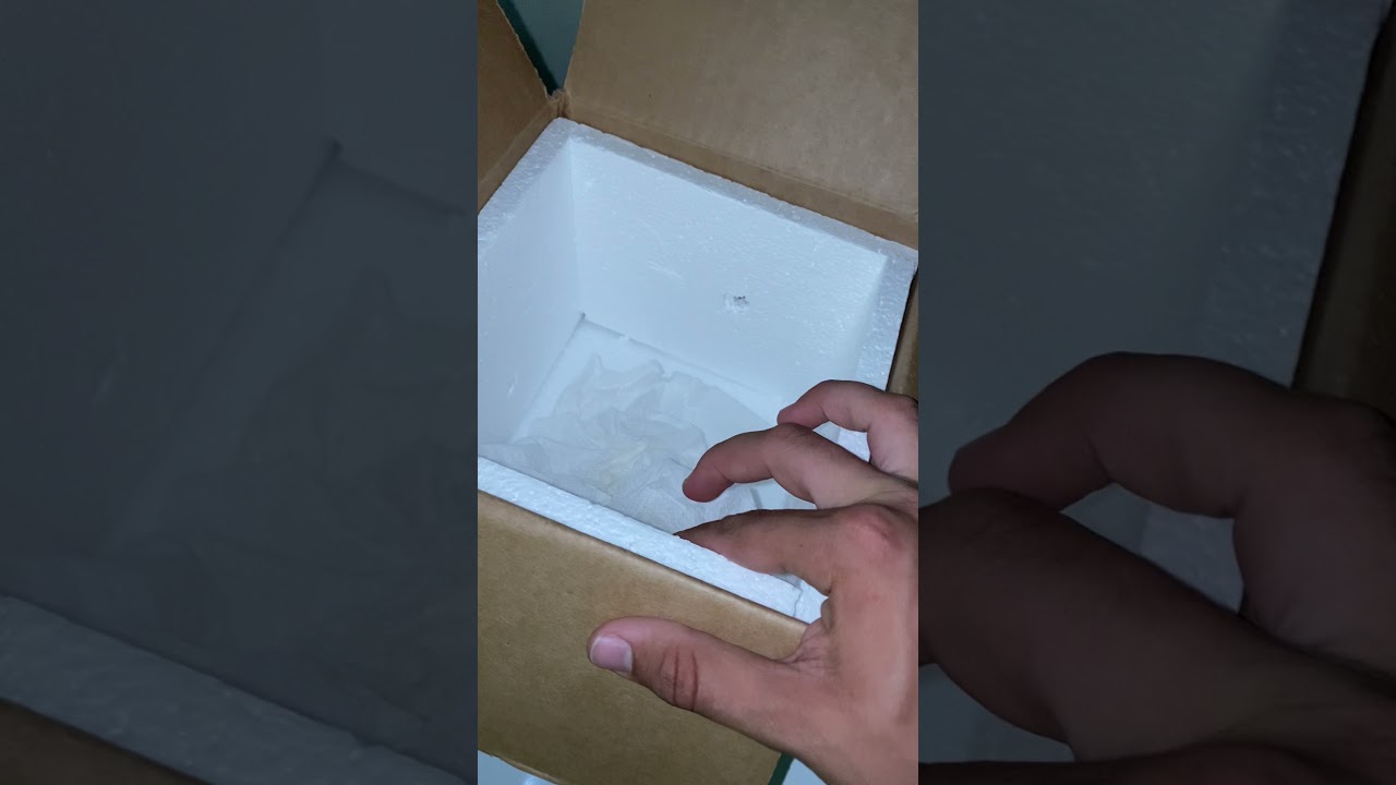 How to ship geckos