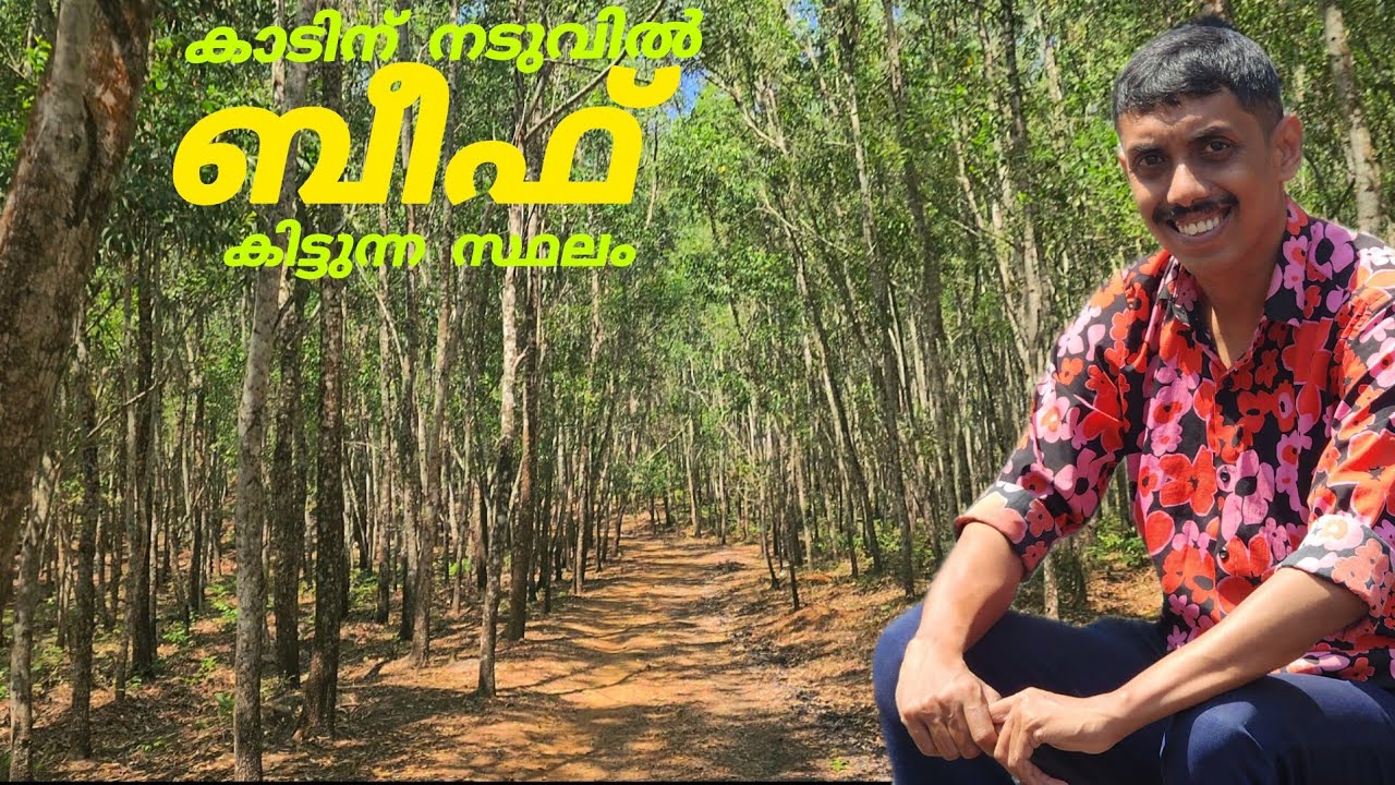 കടമാൻകോട് കാടിന് നടുവിൽ ബീഫ് കിട്ടുന്ന കട | Kadamancode Beef inside forest