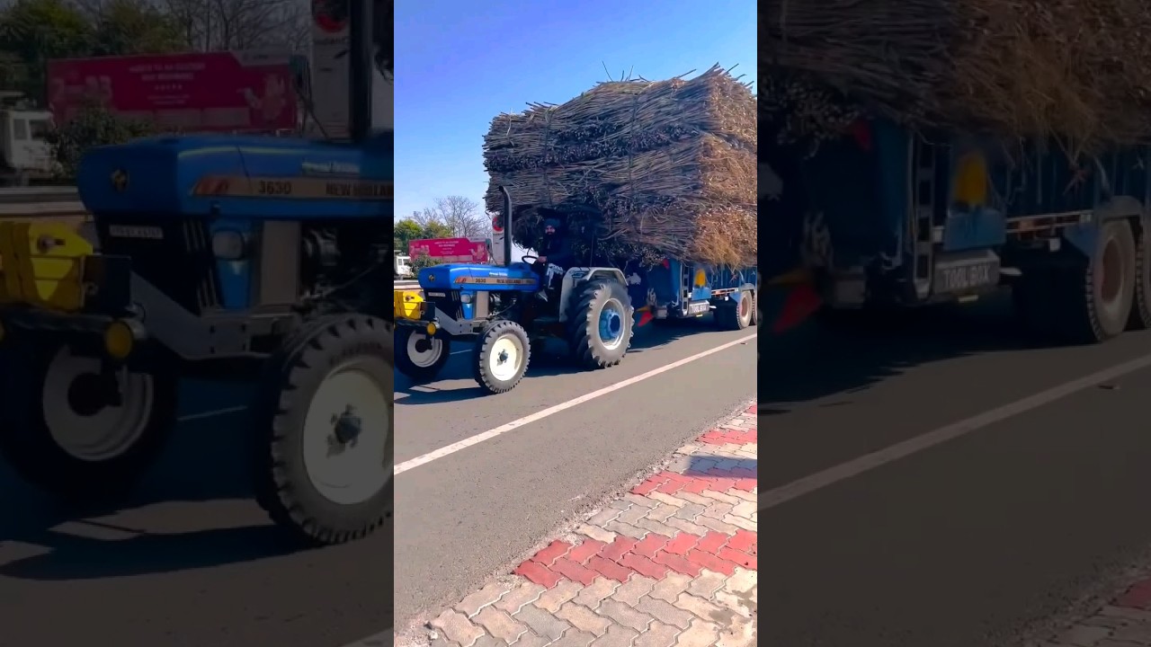 New Holland 3630 Full Loaded Sugarcane Trolley #shorts #viral #shortsfeed