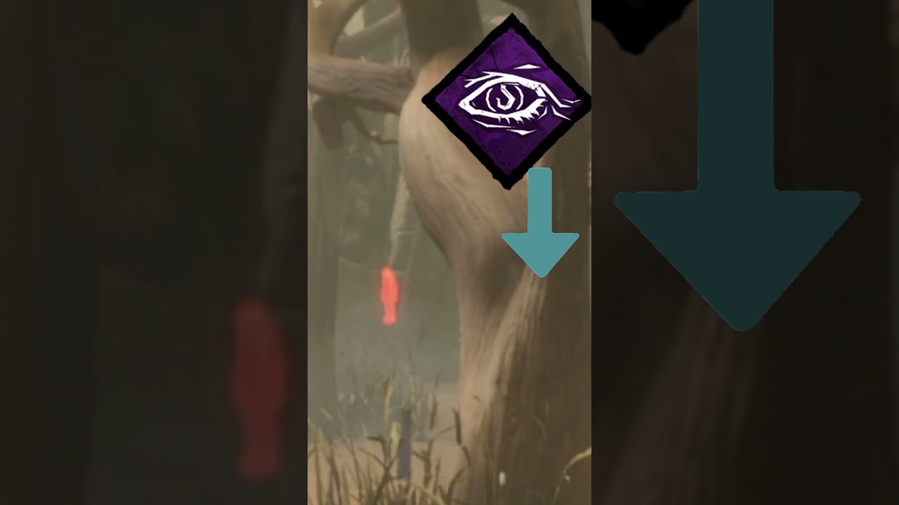 THE BEST BEGINNER SURVIVOR BUILD 