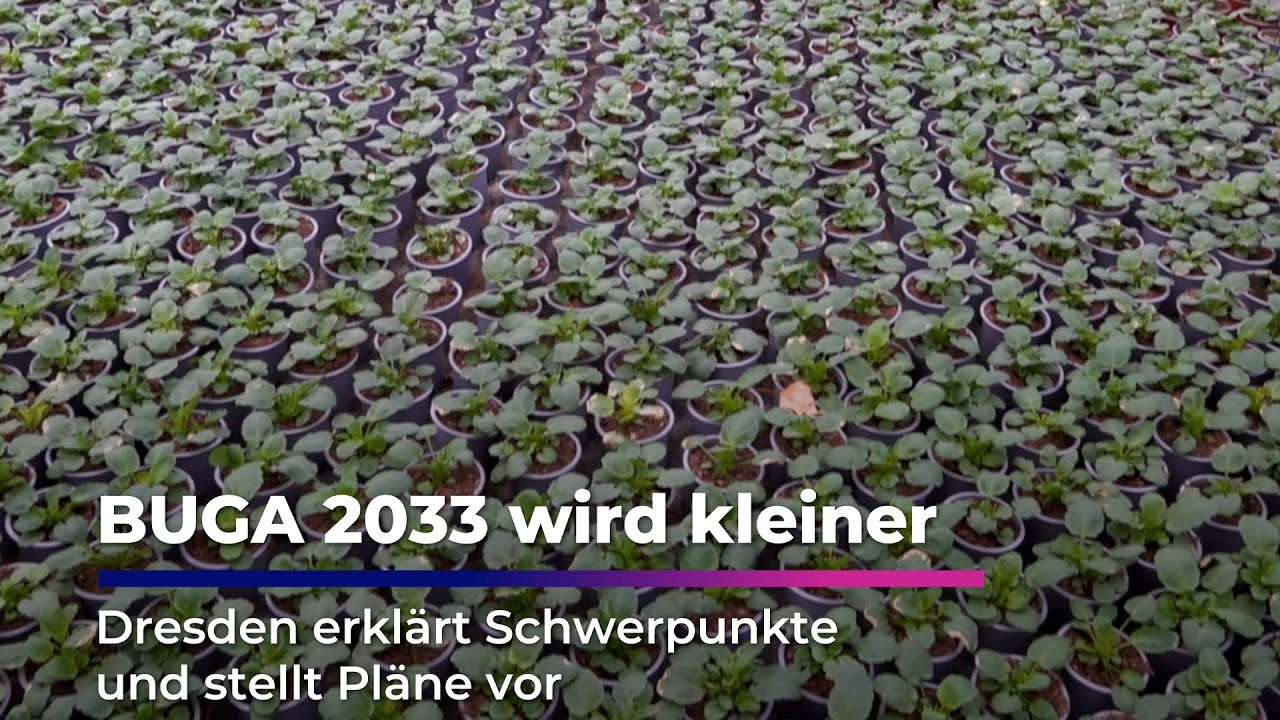 BUGA 2033: Dresden zeigt neue Pl&auml;ne I Sachsen Fernsehen