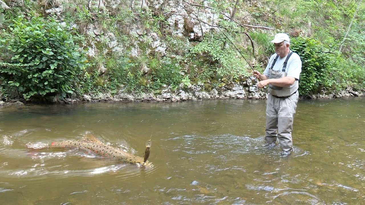 Pecanje potočne pastrmke na reci Djetinji - Užice II deo - Varaličarenje | Fishing brown trout
