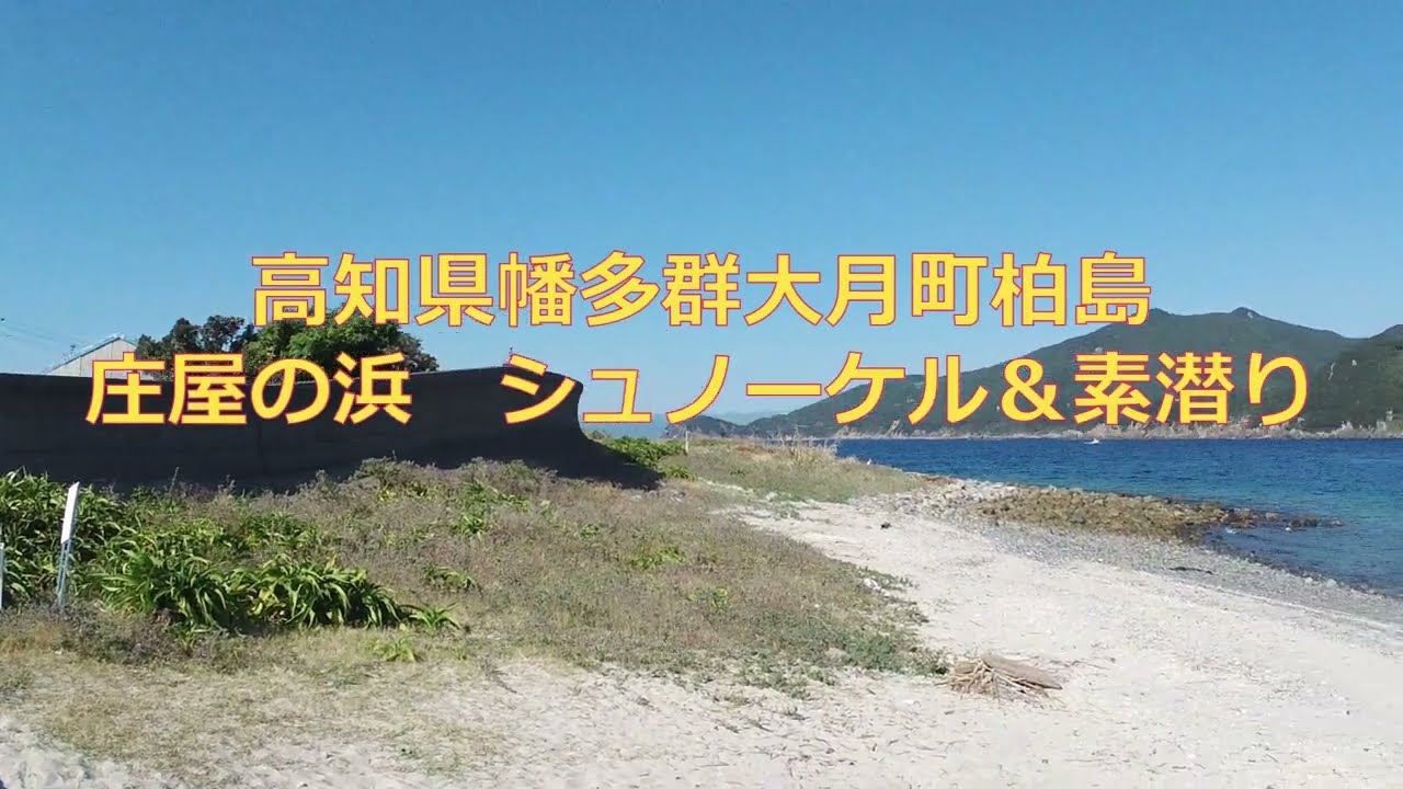 一人で、シュノーケル＆素潜り　柏島の庄屋の浜（高知県）　少し沖に出ると凄く深くなります！2023年11月1日